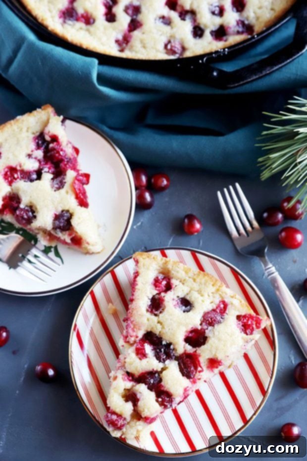 Yuletide Cranberry Cobbler 7 Overhead photo of multiple cobbler slices on dessert plates.