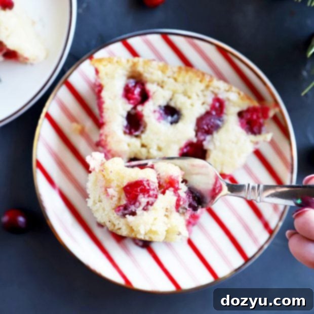 Yuletide Cranberry Cobbler 8 A beautifully baked Christmas Cranberry Cobbler, ready to be served, garnished subtly.