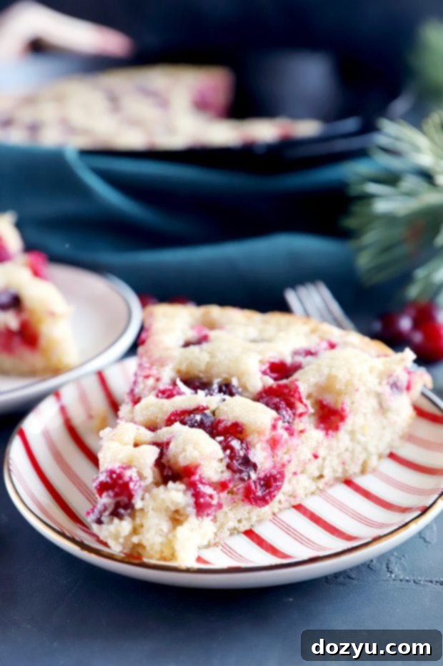 Yuletide Cranberry Cobbler 4 A close-up of a single slice of cranberry cobbler on a plate, highlighting the crust and fruit.