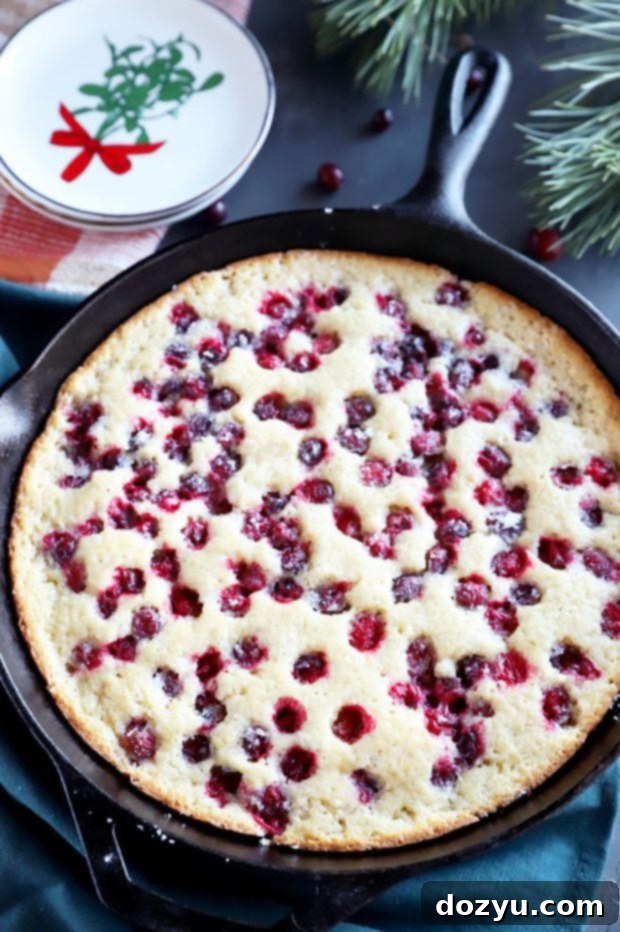 Yuletide Cranberry Cobbler 5 Christmas Cranberry Cobbler baking in a cast iron skillet, edges turning golden.