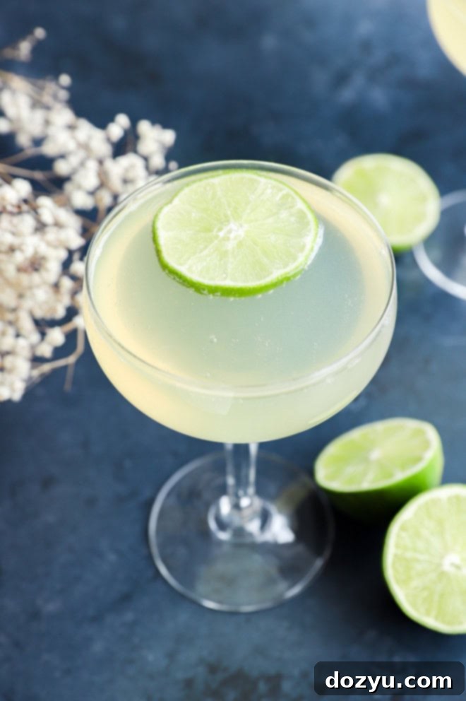 Easy elderflower champagne drink in a coupe glass with fresh lime wheels