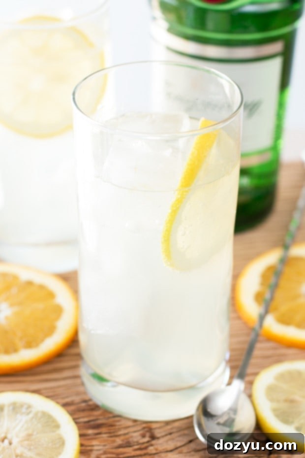 Citrus Tom Collins | cakenknife.com