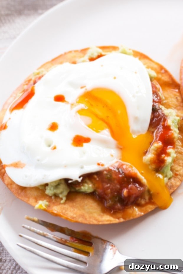 Easy and Healthy Guacamole Breakfast Tostadas | Quick Meal Idea