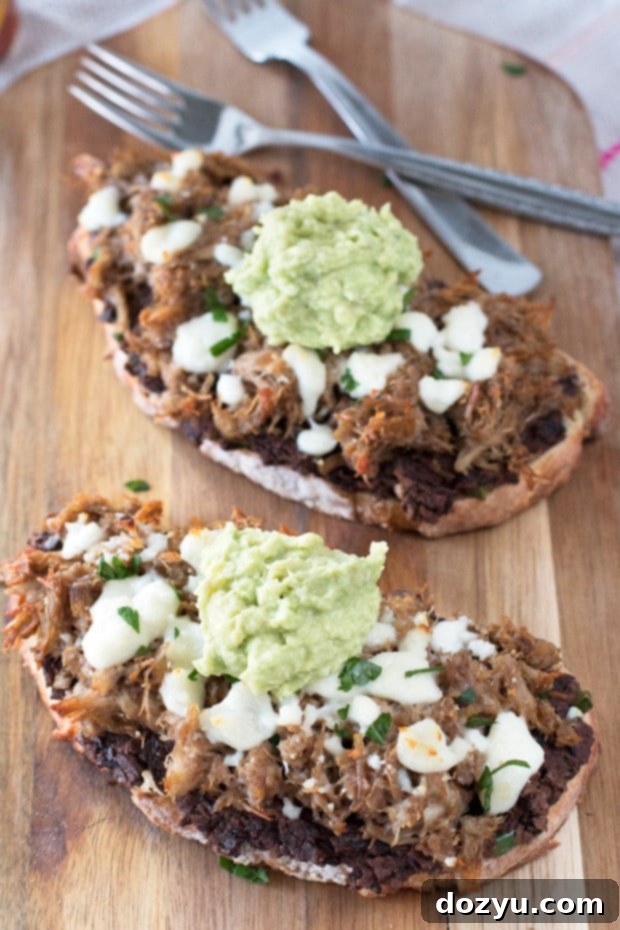 Mexican Pulled Pork Open-Faced Sandwich 2 Delicious Mexican Pulled Pork Tartine (open-faced sandwich) with fresh toppings