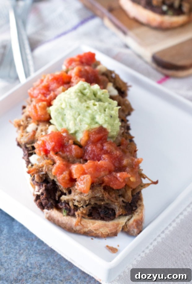 Mexican Pulled Pork Open-Faced Sandwich 5 Overhead view of a finished Mexican Pulled Pork Tartine with fresh cilantro and avocado