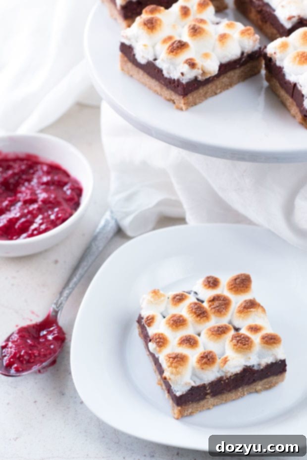 Raspberry S'mores Bars 2 Rich Raspberry S'mores Bars with a graham cracker crust, dark chocolate ganache, and toasted marshmallows