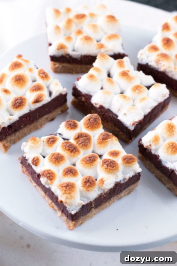 Raspberry S'mores Bars 3 A close-up of a perfectly layered Raspberry S'mores Bar ready to be enjoyed