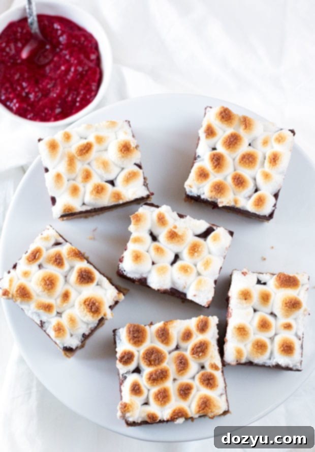 Raspberry S'mores Bars 4 Several Raspberry S'mores Bars arranged beautifully on a serving dish, highlighting the layers