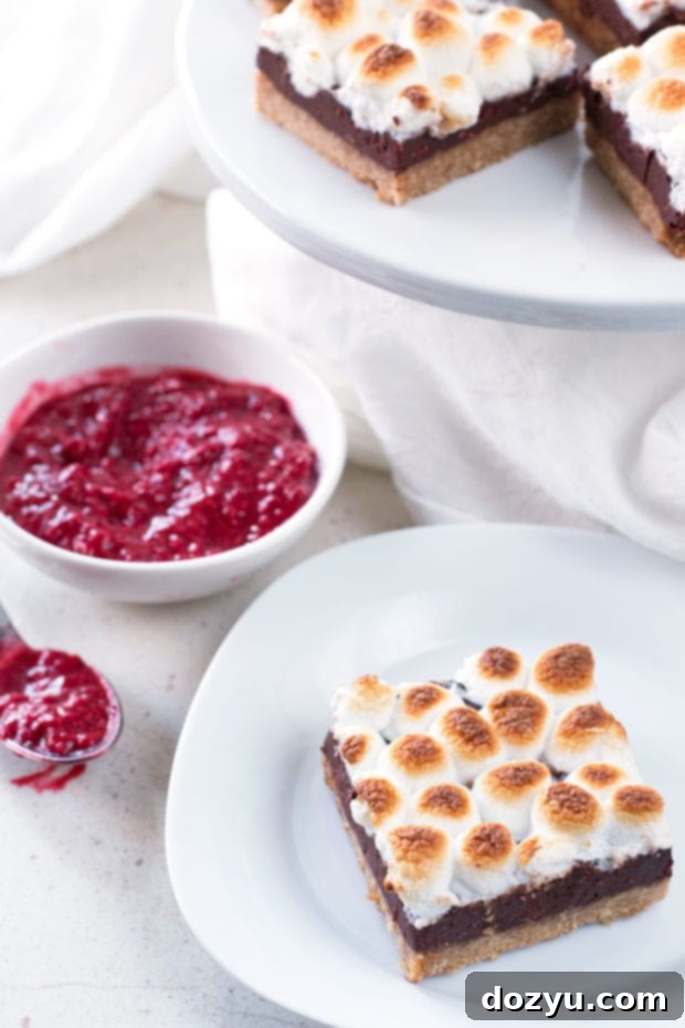 Raspberry S'mores Bars 5 A tray of freshly made Raspberry S'mores Bars with perfectly toasted marshmallows