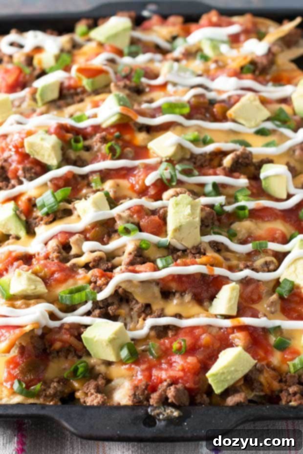 Ultimate Loaded Nachos 2 Delicious Fiery Loaded Nachos piled high with melted cheese and spicy toppings, ready to eat