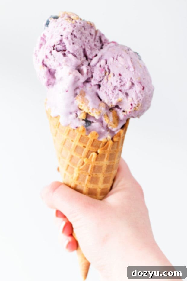 Blueberry Cheesecake Ice Cream | cakenknife.com