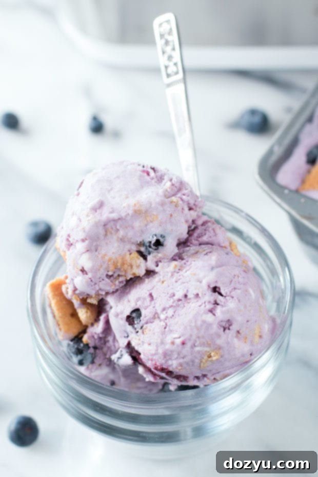 Blueberry Cheesecake Ice Cream | cakenknife.com