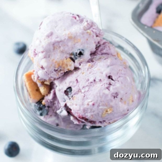 Blueberry Cheesecake Ice Cream | cakenknife.com
