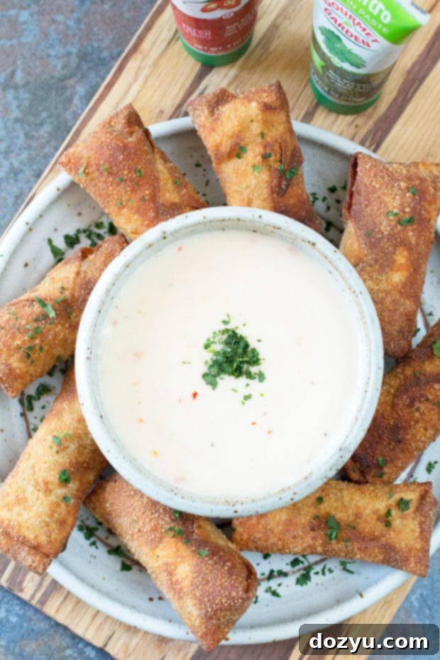 Crispy Chorizo Egg Rolls with Spicy Queso Dipping Sauce, a perfect party appetizer.