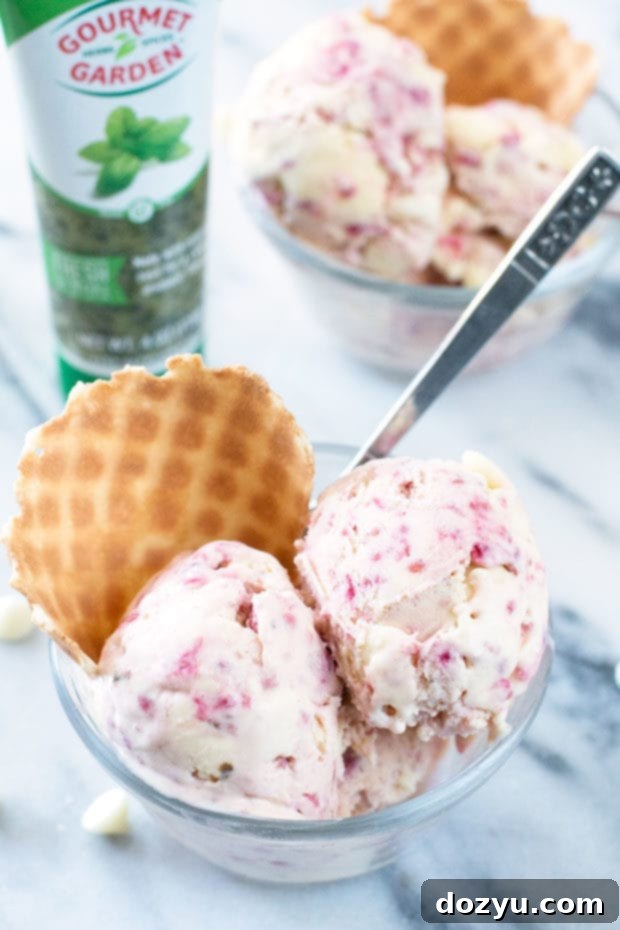 Lemon Raspberry Basil Ice Cream | cakenknife.com