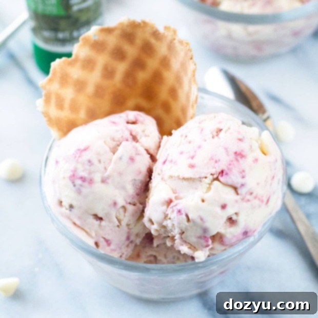 Lemon Raspberry Basil Ice Cream | cakenknife.com