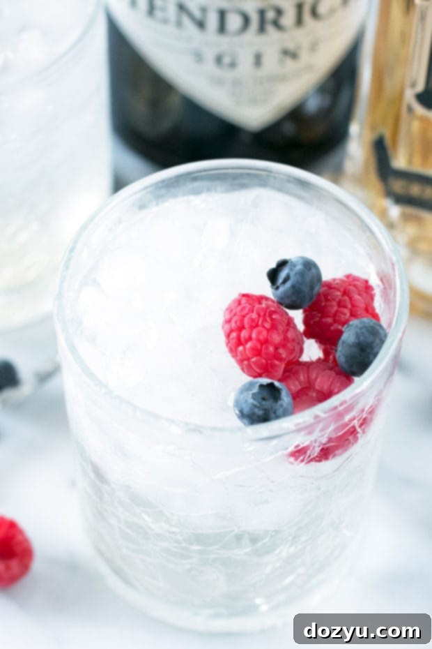 Berry Burst Gin and Tonic 3 Close-up of Berrylicious Gin & Tonic with fresh berries | cakenknife.com