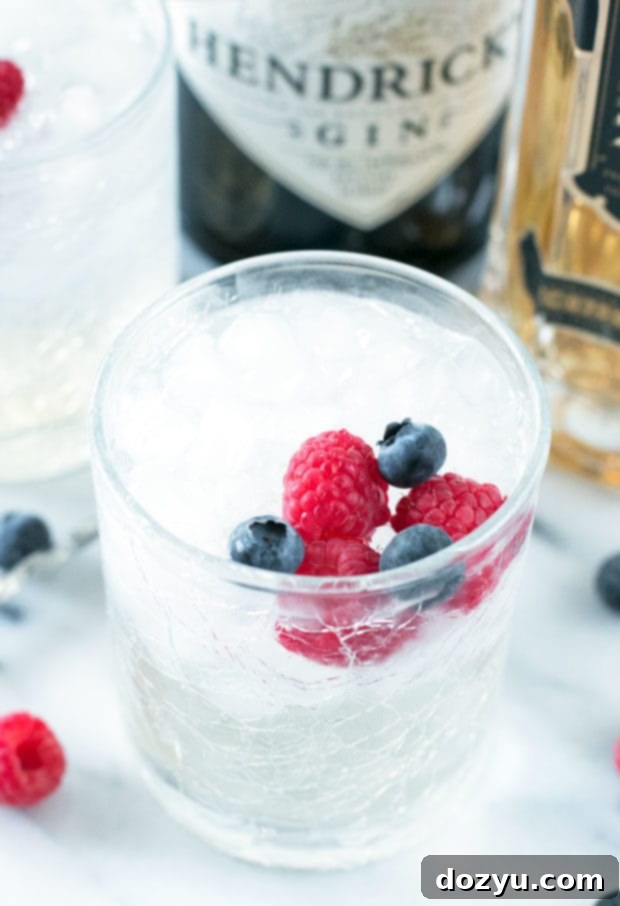 Berry Burst Gin and Tonic 5 Ingredients for Berrylicious Gin & Tonic | cakenknife.com