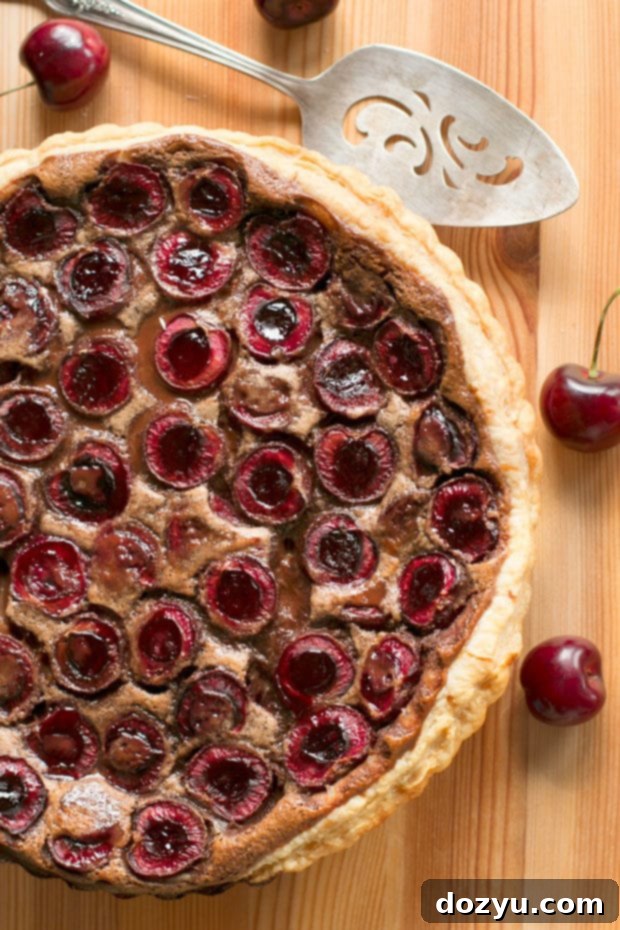 Nutella Cherry Tart | A decadent dessert for summer picnics