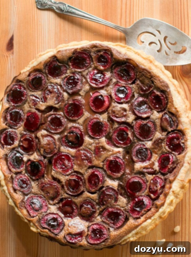 Nutella Cherry Tart | Flaky puff pastry dessert