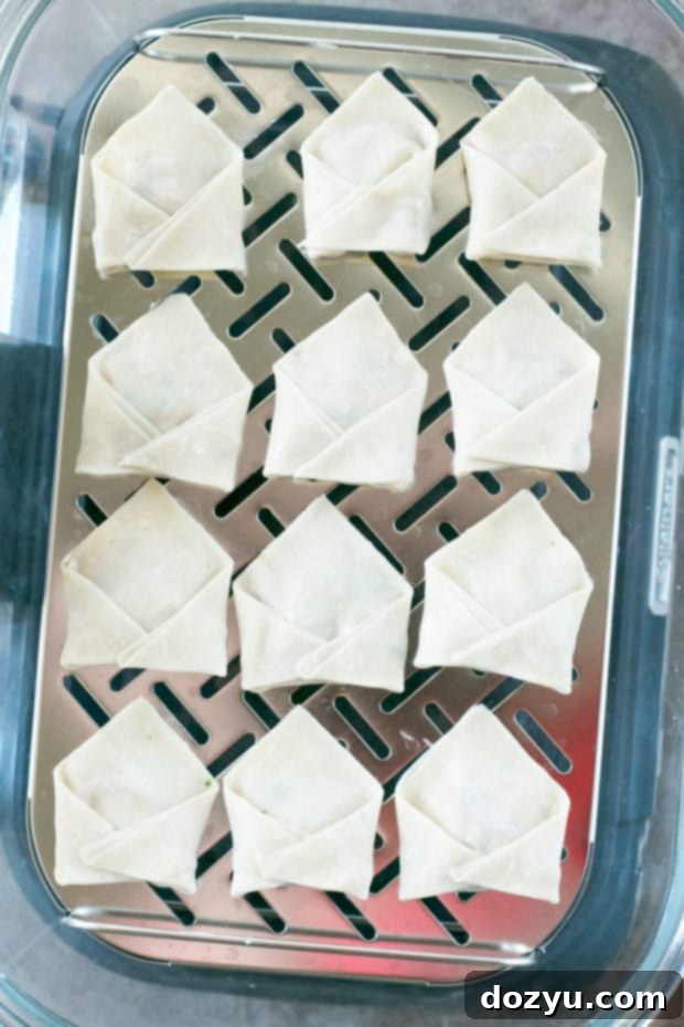 Preparing Steamed Vegetable Wontons: Hands expertly folding wonton wrappers filled with fresh vegetables.
