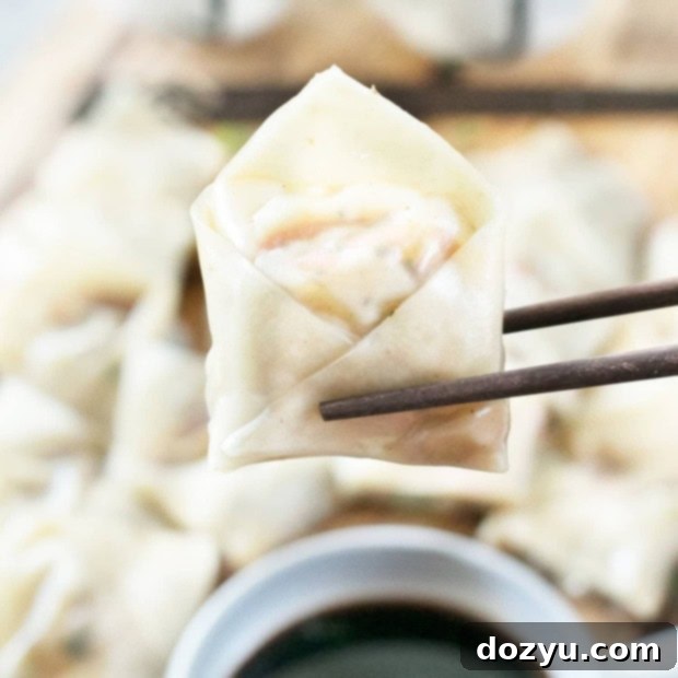 Steamed Vegetable Wontons: A close-up of a single steamed wonton with its delicate wrapper.