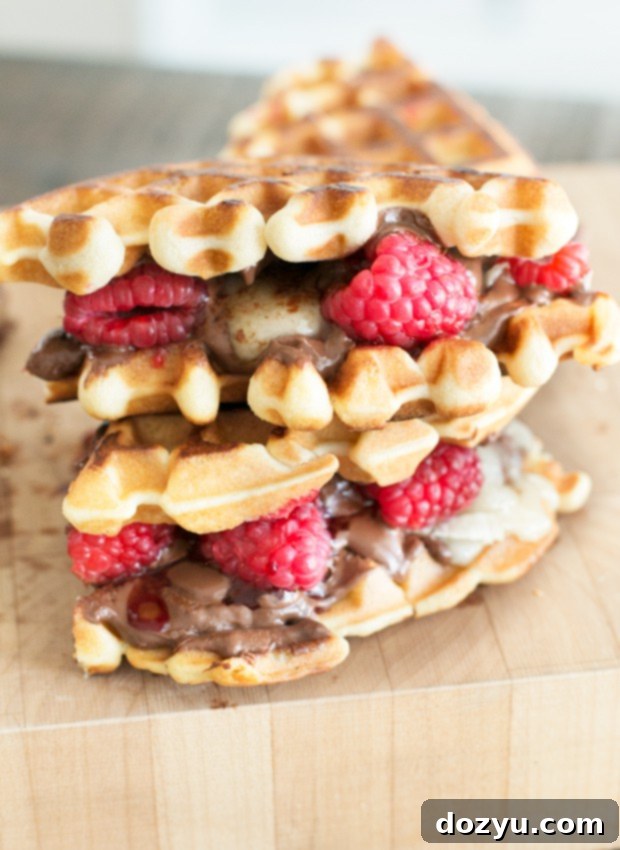 Raspberry Nutella Brie Waffle Sandwiches | cakenknife.com