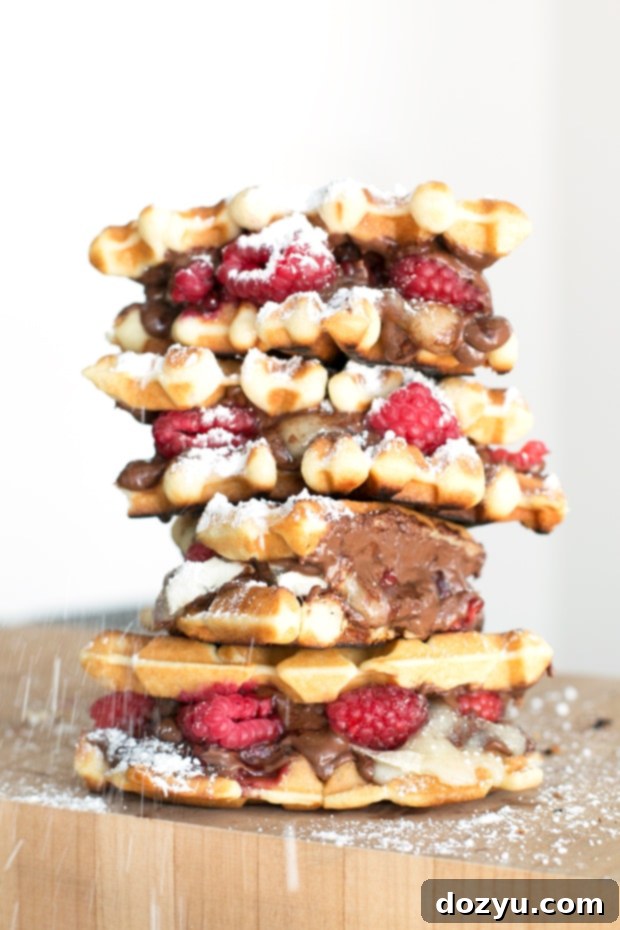 Raspberry Nutella Brie Waffle Sandwiches | cakenknife.com
