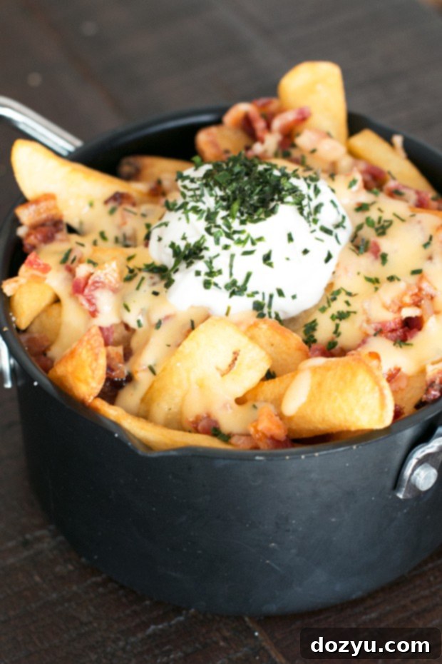 Ultimate Loaded Baked Fries 5 Loaded Baked Potato Fries | cakenknife.com