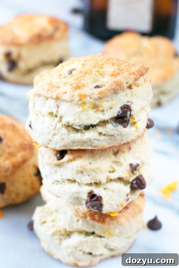 Zesty Orange Dark Chocolate Chip Scones 2 Fluffy Orange Dark Chocolate Chip Scones on a cooling rack, ready to be enjoyed.