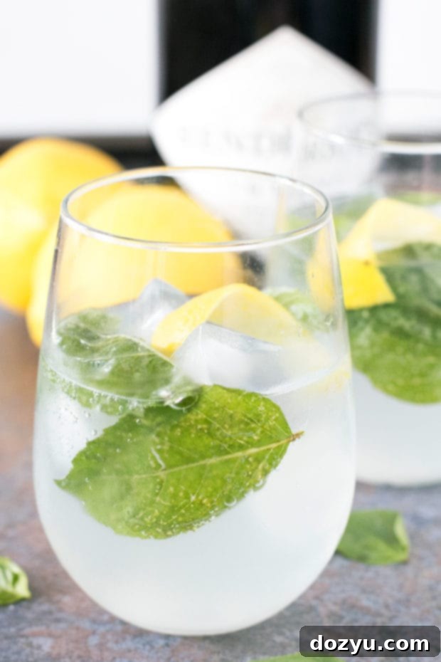 Lemon Basil Gin & Tonic garnished with a lemon twist and basil sprig