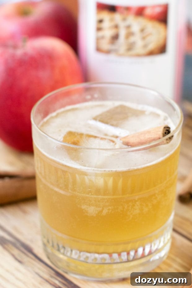 Bourbon Apple Cider Fizz - a perfect fall cocktail with mulled apple cider, ginger beer, and bourbon, garnished with apple slices and cinnamon sticks.