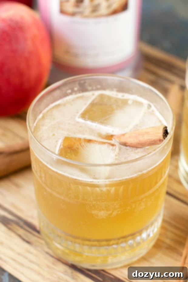 Close-up of Bourbon Apple Cider Fizz cocktail, highlighting the vibrant colors and appealing garnish.