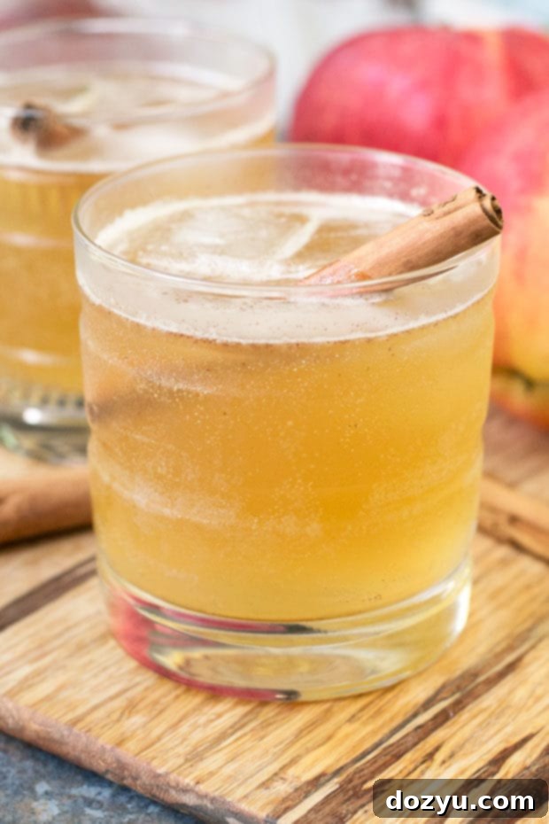 Bourbon Apple Cider Fizz served in a tall glass with apple slice and cinnamon stick garnish.