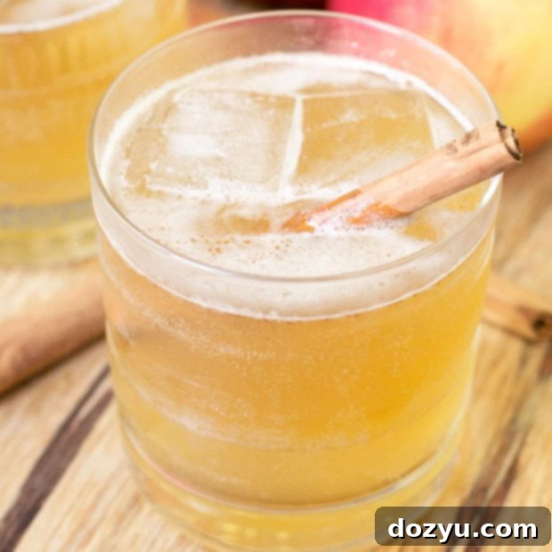 Bourbon Apple Cider Fizz Cocktail - a delicious fall drink recipe