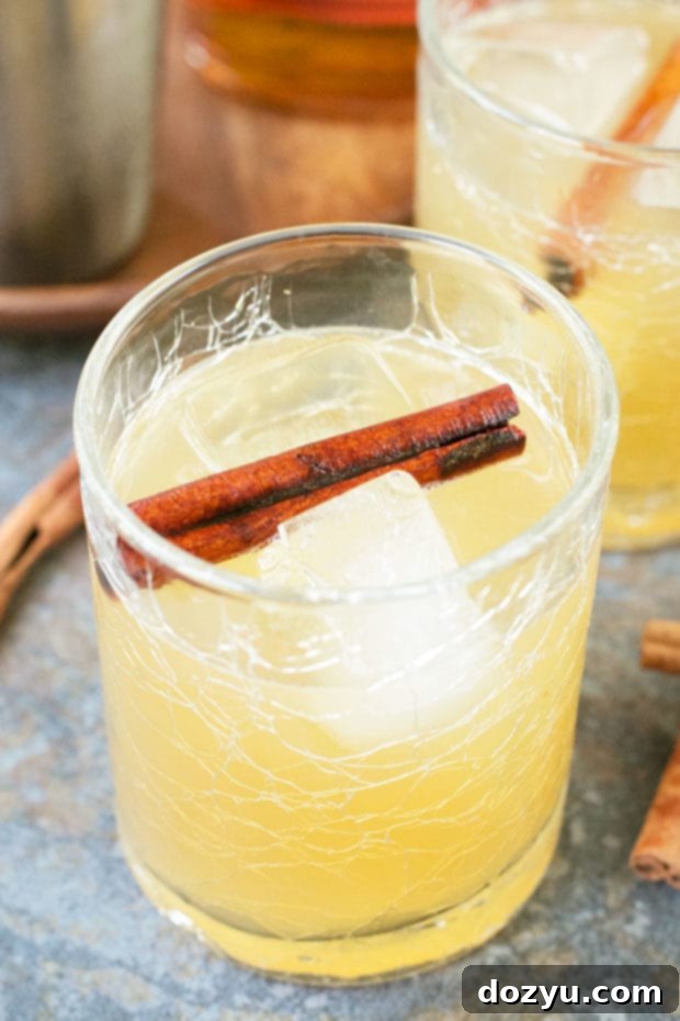 Overhead shot of a Cinnamon Whiskey Sour with ice and a cinnamon stick garnish, showcasing the drink's rich color