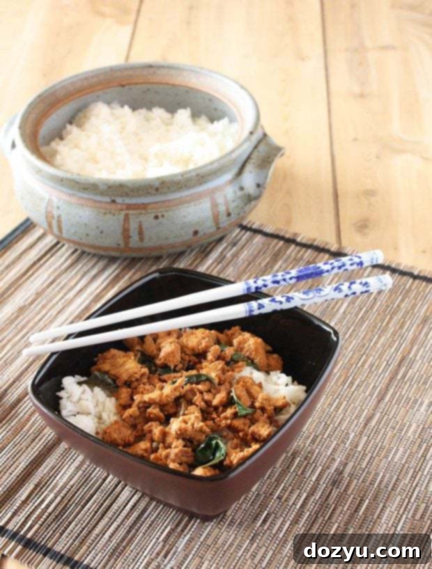 Krapaw Gai, a delicious Thai chicken and basil stir-fry