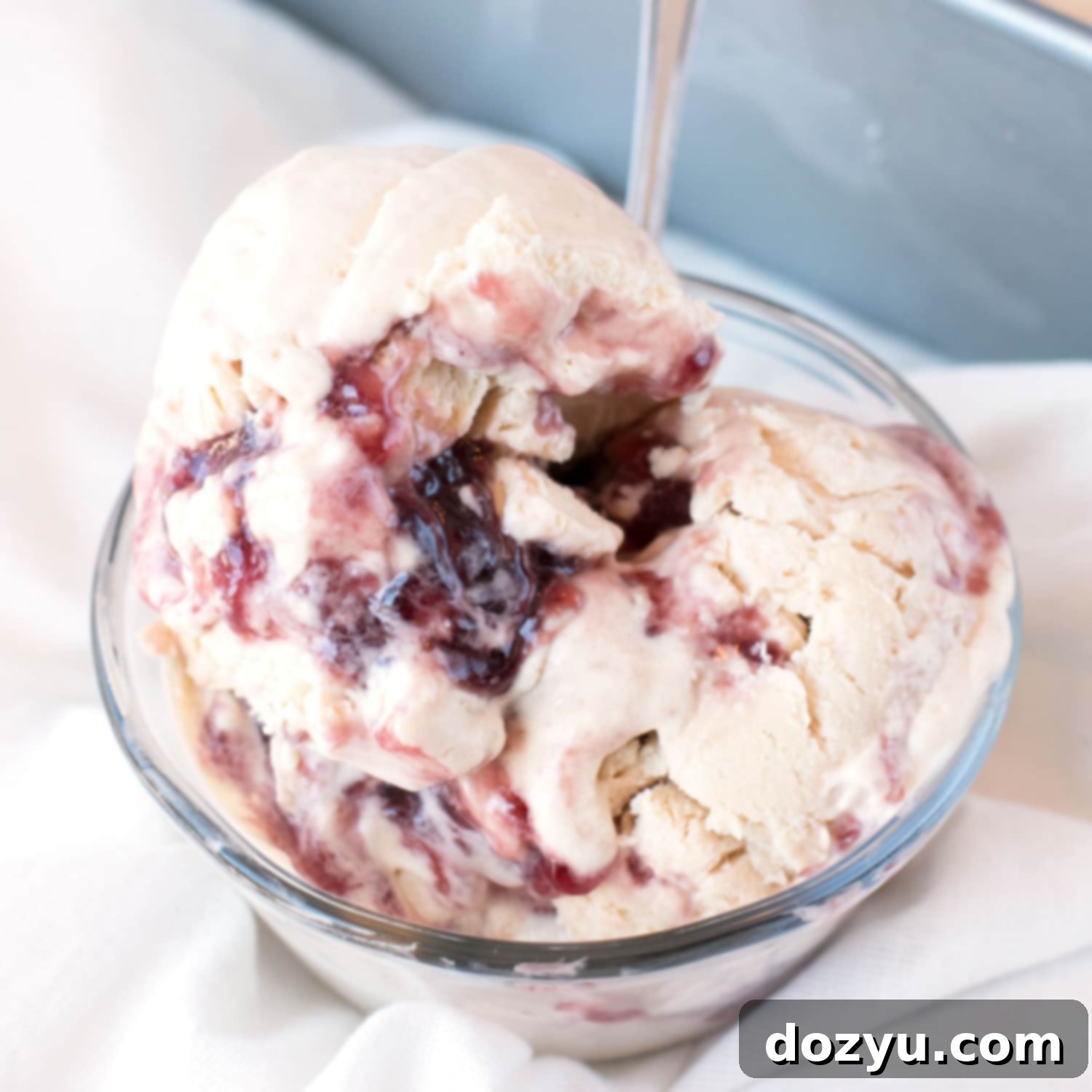 No-Churn PB&J Ice Cream recipe image thumbnail