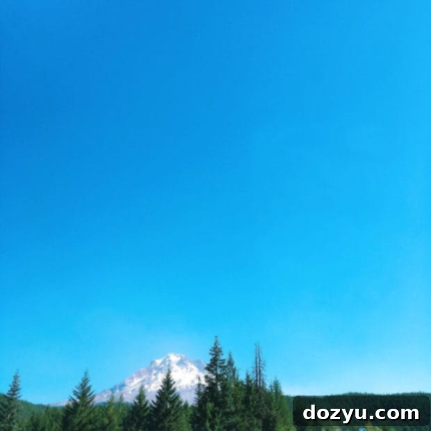 Scenic drive to Bend, Oregon, showcasing lush forests