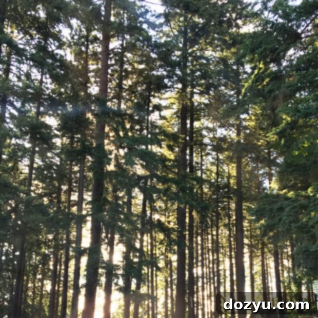 Exploring Portland's vibrant food and drink scene in 48 hours