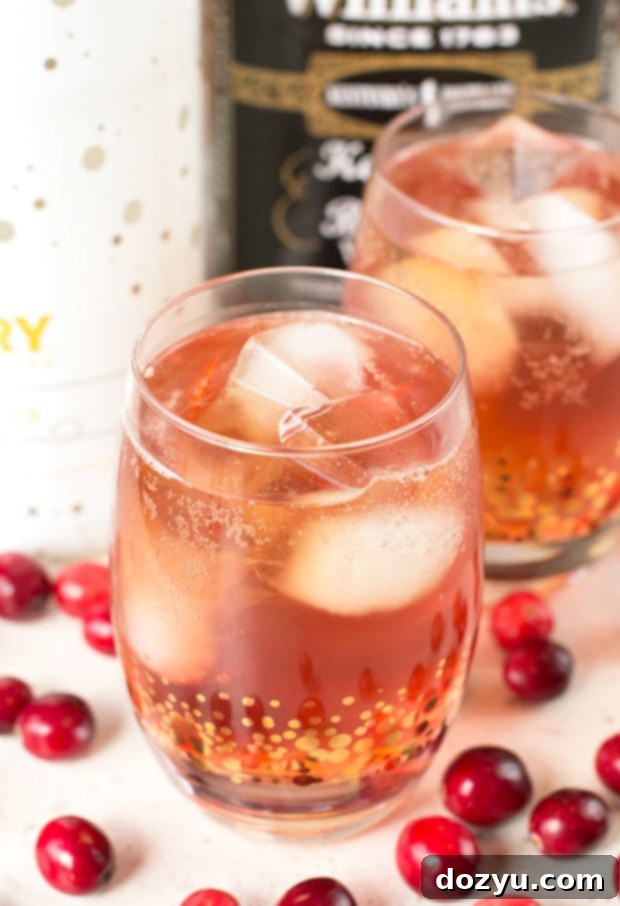 Cranberry Ginger Bourbon Fizz | A Festive Holiday Drink