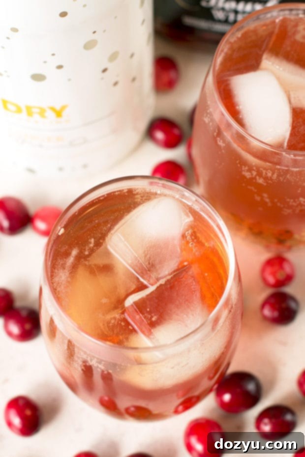 Cranberry Ginger Bourbon Fizz | Perfect for Holiday Parties