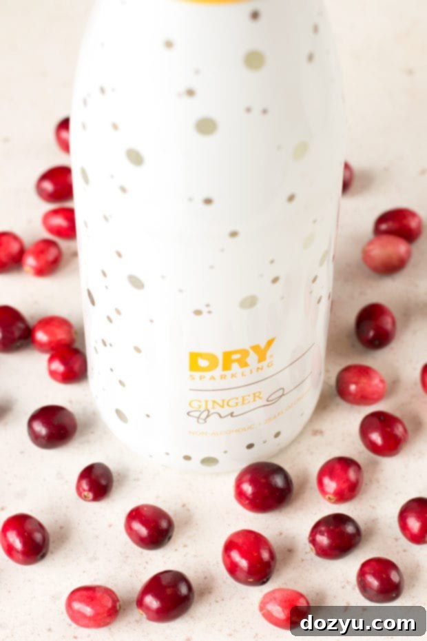 Cranberry Ginger Bourbon Fizz | Easy Cocktail Recipe