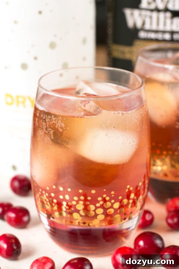 Cranberry Ginger Bourbon Fizz | Refreshing Holiday Drink