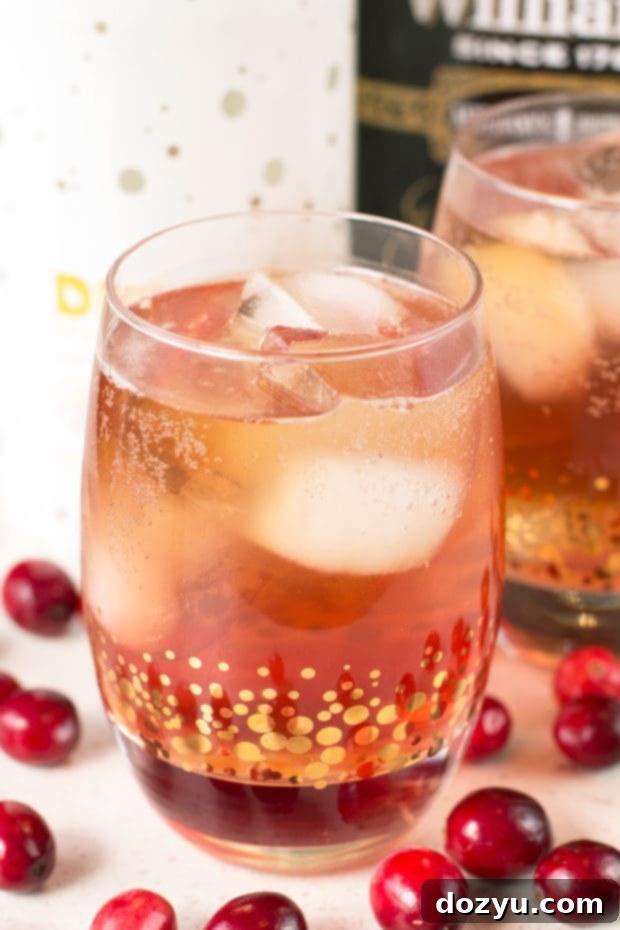 Cranberry Ginger Bourbon Fizz | Holiday Drink Idea