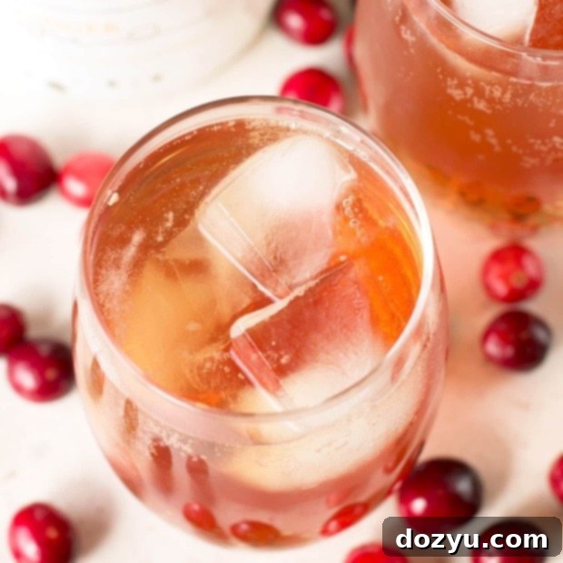 Cranberry Ginger Bourbon Fizz | cakenknife.com