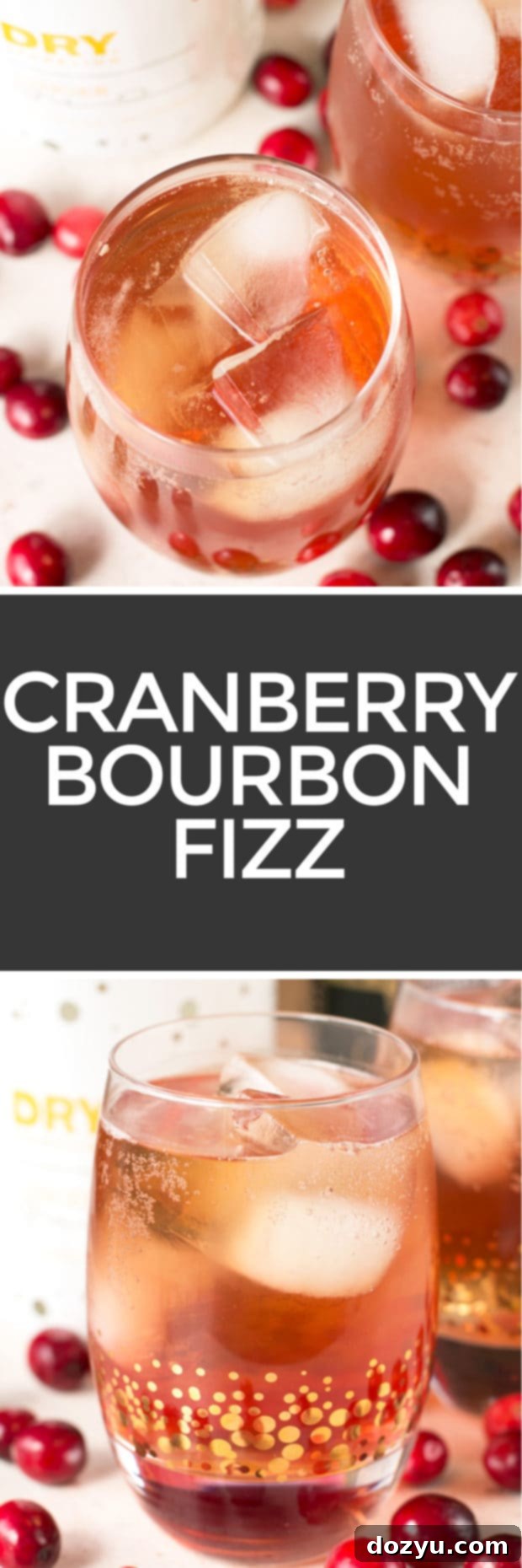 Cranberry Ginger Bourbon Fizz | Pin for Later