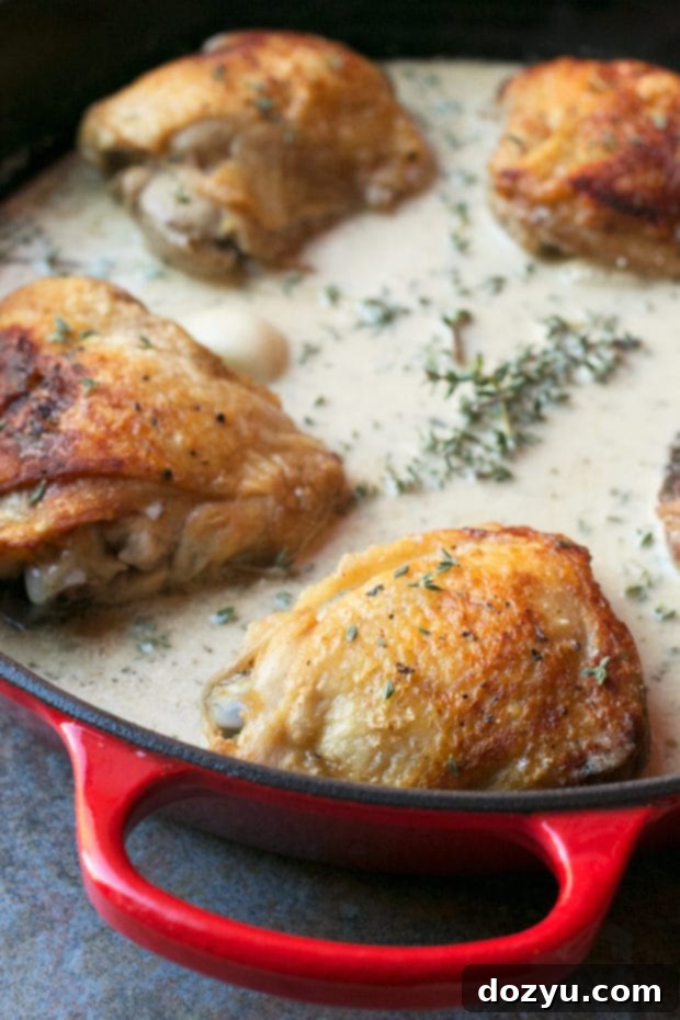 Perfectly Roasted Creamy White Wine & Garlic Chicken Thighs for an Easy Weeknight Meal