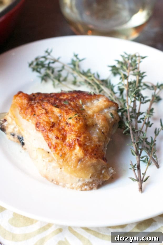 Delicious Creamy Garlic White Wine Chicken Thighs, a Quick and Flavorful Dinner Solution