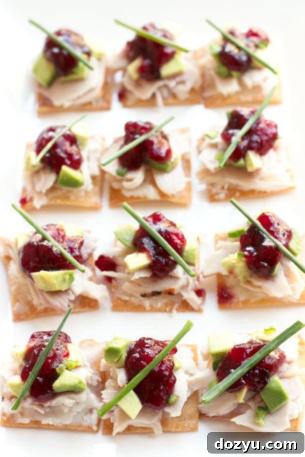 Crispy Thanksgiving Leftover Bites with savory turkey, creamy mashed potatoes, and tart cranberry sauce